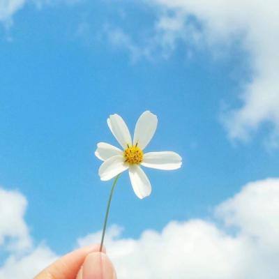 开云·体育(kaiyun)手机app下载截图