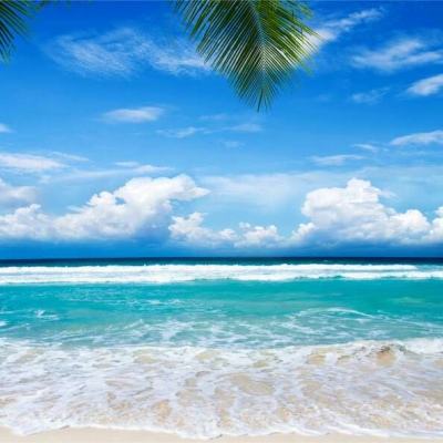 凯发游戏app下载